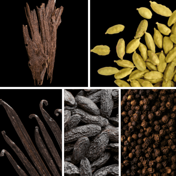 Duftnoten: Oud, Kardamom, Vanille, Tonkabohne, Pfeffer