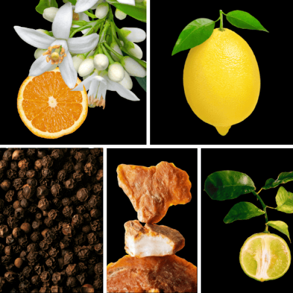 Duftnoten: Orangenblüte, Zitrone, schwarzer Pfeffer, Benzoe, Bergamotte