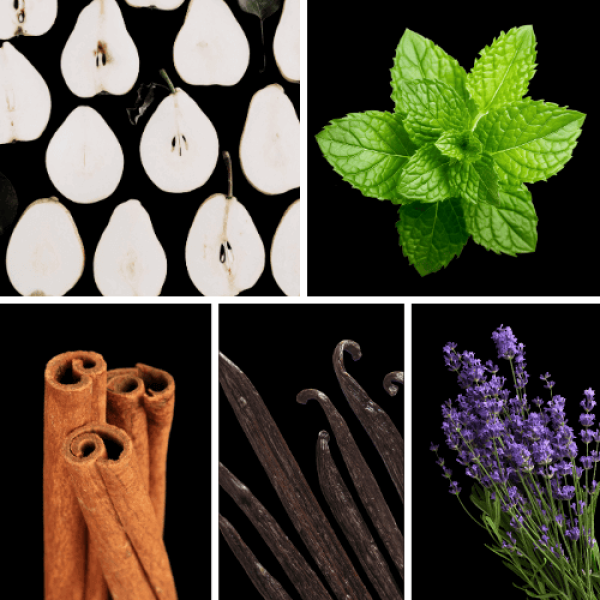 Duftnoten: Birne, Minze, Zimt, Vanille, Lavendel