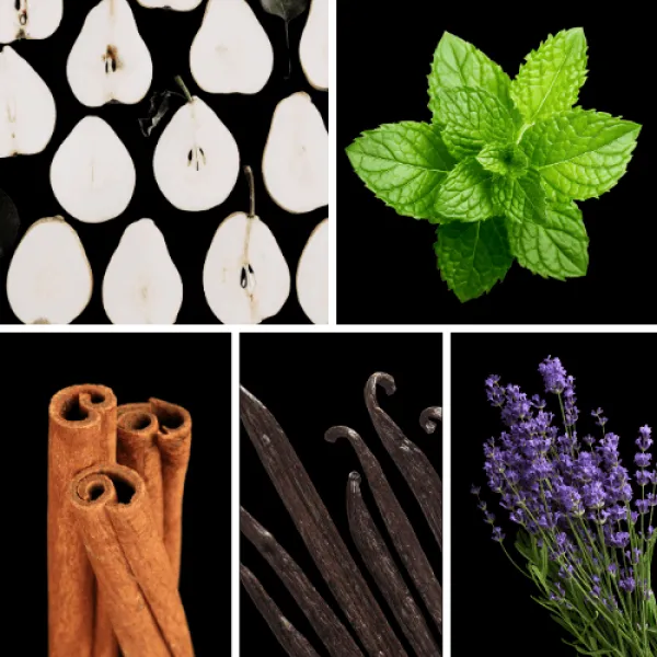 Duftnoten: Birne, Minze, Zimt, Vanille, Lavendel Duftnoten: Birne, Minze, Zimt, Vanille, Lavendel