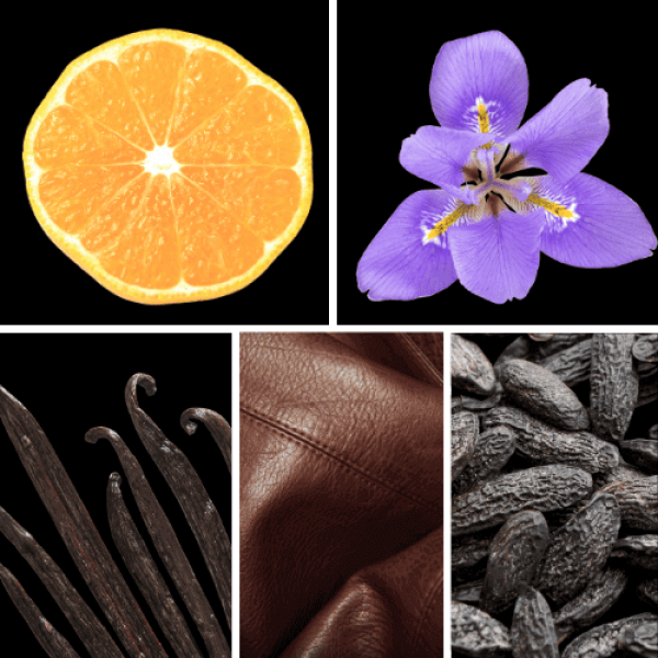 Duftnoten: Mandarine, Iris, Vanille, Leder, Tonkabohne