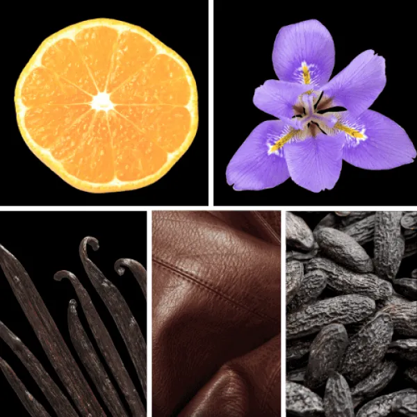 Duftnoten: Mandarine, Iris, Vanille, Leder, Tonkabohne Duftnoten: Mandarine, Iris, Vanille, Leder, Tonkabohne