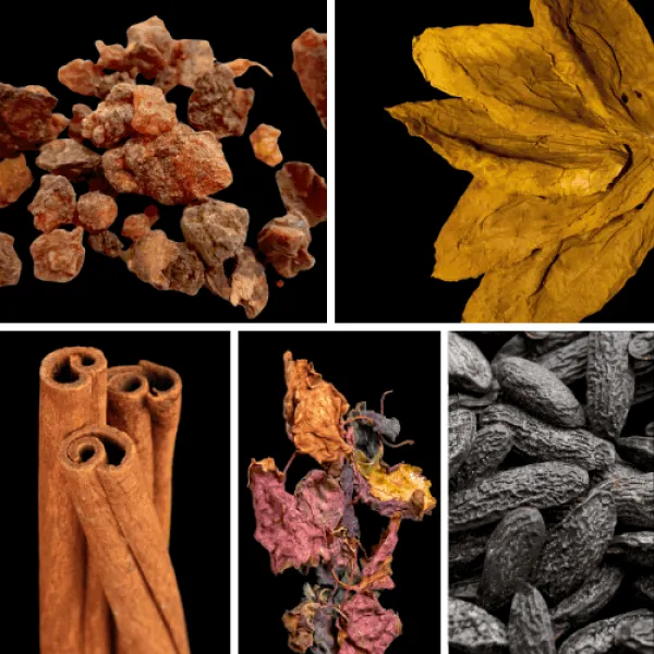 Duftnoten: Myrrhe, Tabak, Zimt, Patchouli, Tonkabohne Duftnoten: Myrrhe, Tabak, Zimt, Patchouli, Tonkabohne