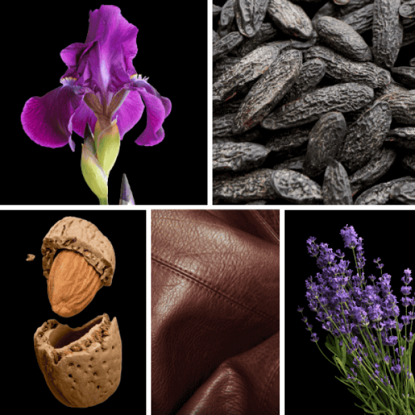 Duftnoten: Veilchen, Tonakbohne, Mandel, Leder, Lavendel