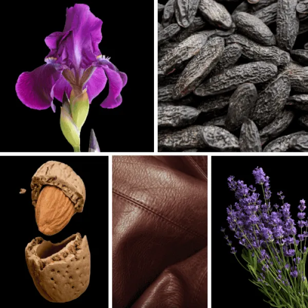Duftnoten: Veilchen, Tonakbohne, Mandel, Leder, Lavendel Duftnoten: Veilchen, Tonakbohne, Mandel, Leder, Lavendel