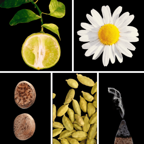 Duftnoten: Bergamotte, Kamille, Muskatnuss, Kardamom, Weihrauch