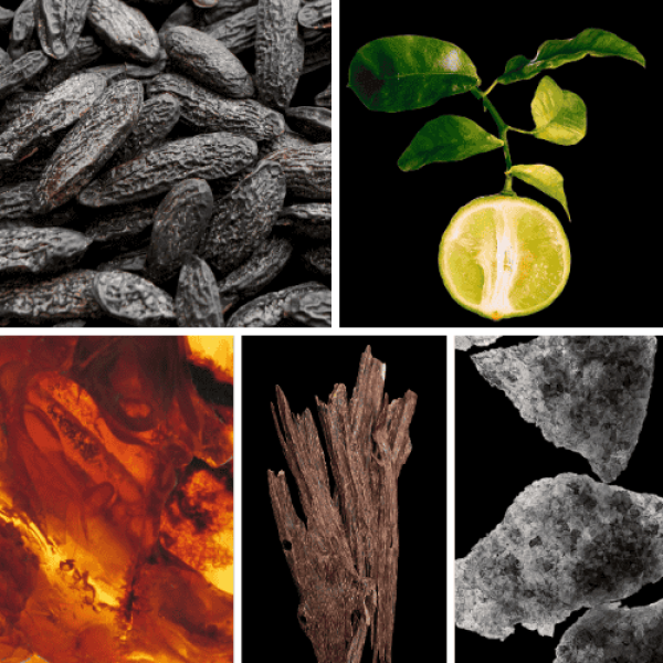 Duftnoten: Tonkabohne, Bergamotte, Ambra, Oud, Moschus