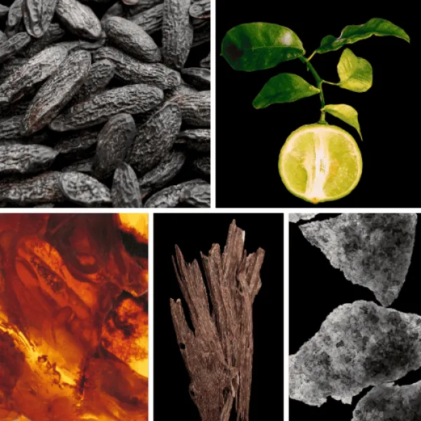 Duftnoten: Tonkabohne, Bergamotte, Ambra, Oud, Moschus Duftnoten: Tonkabohne, Bergamotte, Ambra, Oud, Moschus