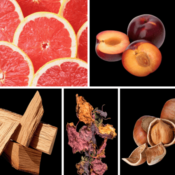 Duftnoten: Grapefruit, Pflaume, Zedernholz, Patchouli, Haselnuss