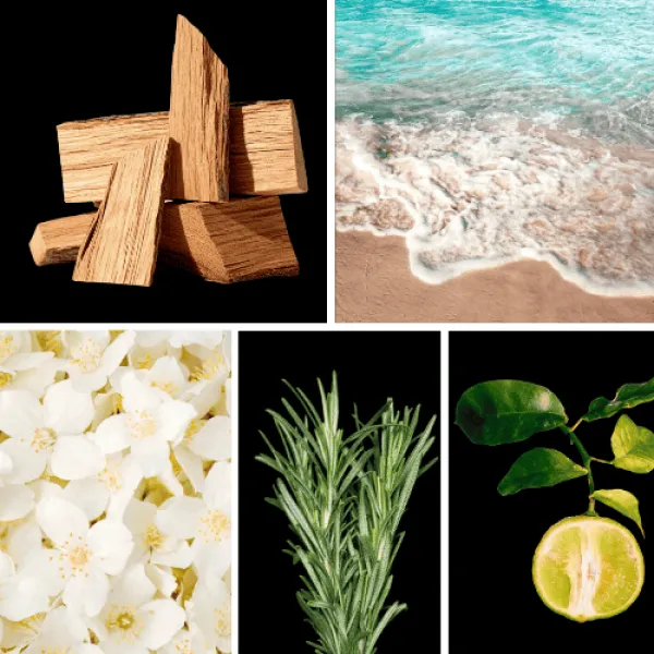 Duftnoten: Zedernholz, aquatische Noten, Jasmin, Rosmarin, Bergamotte Duftnoten: Zedernholz, aquatische Noten, Jasmin, Rosmarin, Bergamotte