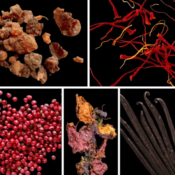 Duftnoten: Myrrhe, Safran, rosa Pfeffer, Patchouli, Vanille Duftnoten: Myrrhe, Safran, rosa Pfeffer, Patchouli, Vanille