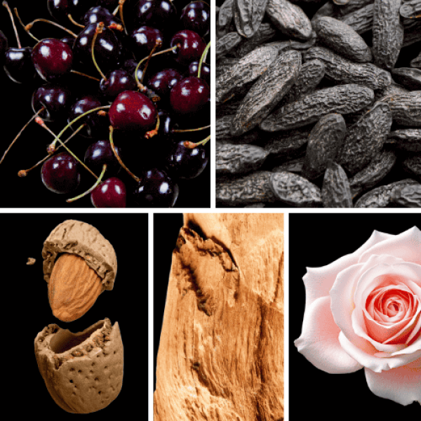 Duftnoten: schwarze Kirsche, Tonkabohne, Bittermandel, Sandelholz, türkische Rose