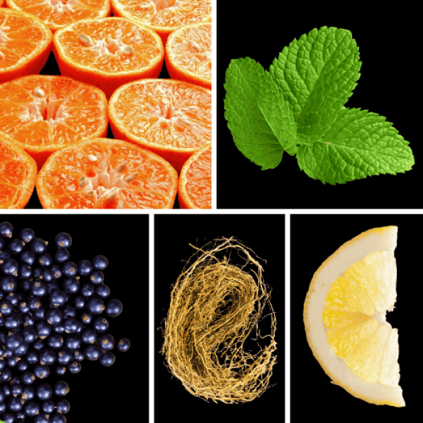 Profumo D’oro #123 – Duftnoten des Unisex Eau de Parfum mit Mandarine, Bergamotte, Zitrone, Kräutern und Amber