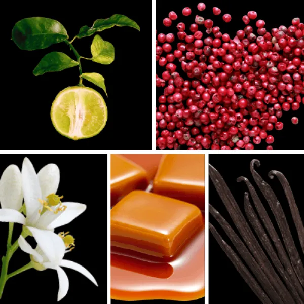 Duftnoten: Bergamotte, rosa Pfeffer, Neroli, Karamell, Vanille