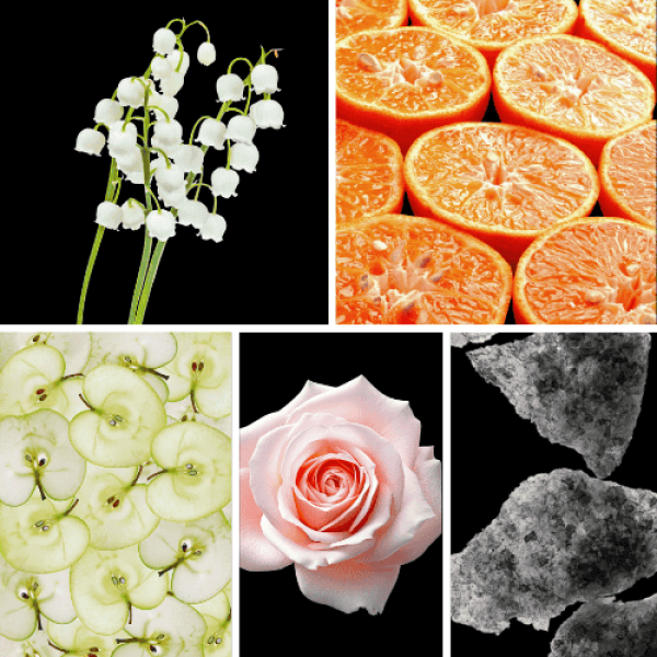 Duftnoten: Maiglöckchen, Mandarine, güner Apfel, bulgarische Rose, Moschus