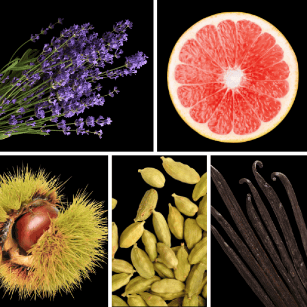 Duftnoten: Lavendel, Kastanie, Kardamom, Vanille