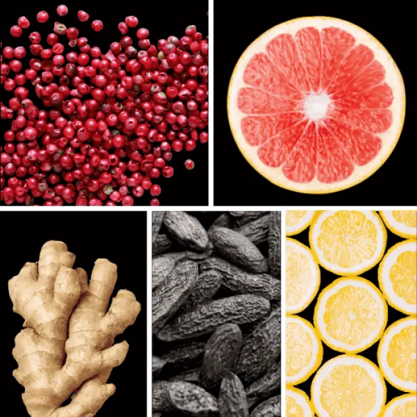 Duftnoten: rosa Pfeffer, Grapefruit, Ingwer, Tonkabohne, Zitrone