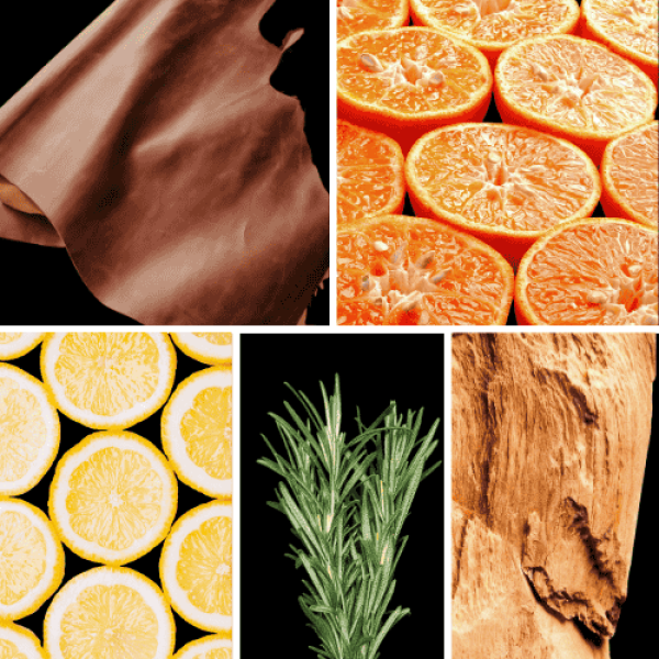 Duftnoten: Leder, Mandarine, Zitrone, Rosmarin, Sandelholz