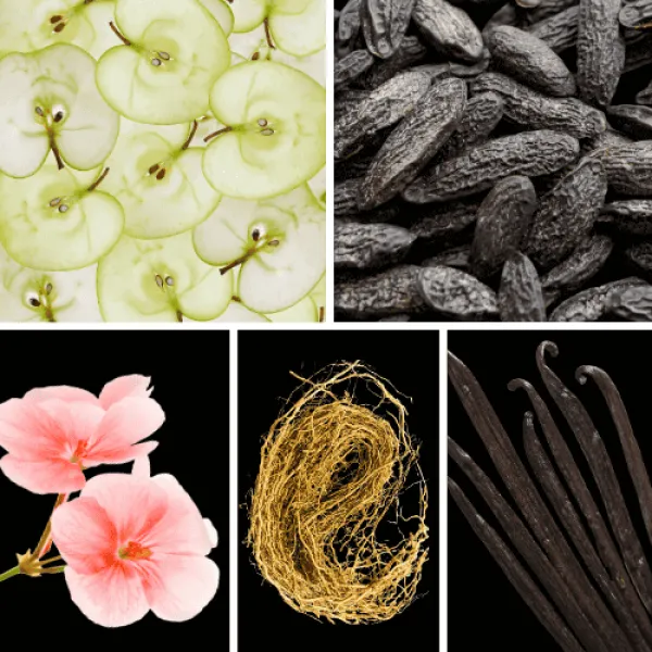 Duftnoten; grüner Apfel ,Tonkabohne, Rosengeranie, Vetiver, Vanille Duftnoten; grüner Apfel ,Tonkabohne, Rosengeranie, Vetiver, Vanille
