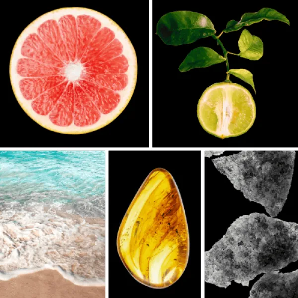 Duftnoten: Grapefruit, Bergamotte, aquatische Noten, Ambra, Moschus