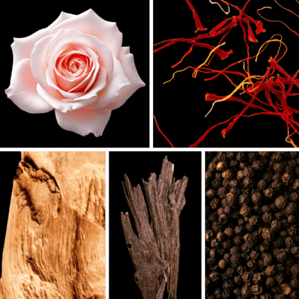 Duftnoten: Rose, Safran, Zedernholz, Oud, schwarzer Pfeffer