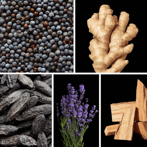 Duftnoten: Wacholder, Ingwer, Tonkabohne; Lavendel, Zedernholz