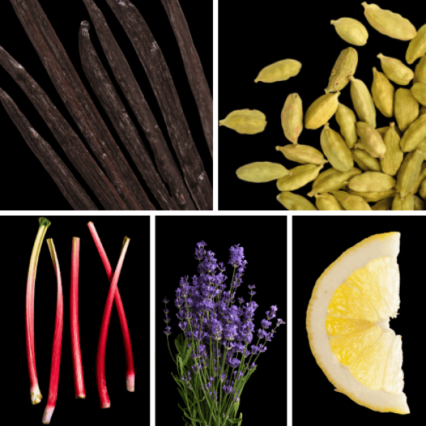 Duftnoten: Vanille, Kardamom, Rhabarber, Lavendel, Zitrone