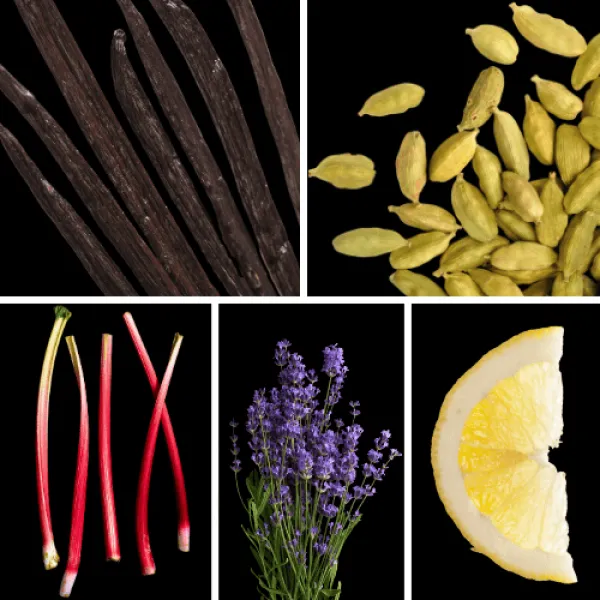 Duftnoten: Vanille, Kardamom, Rhabarber, Lavendel, Zitrone Duftnoten: Vanille, Kardamom, Rhabarber, Lavendel, Zitrone