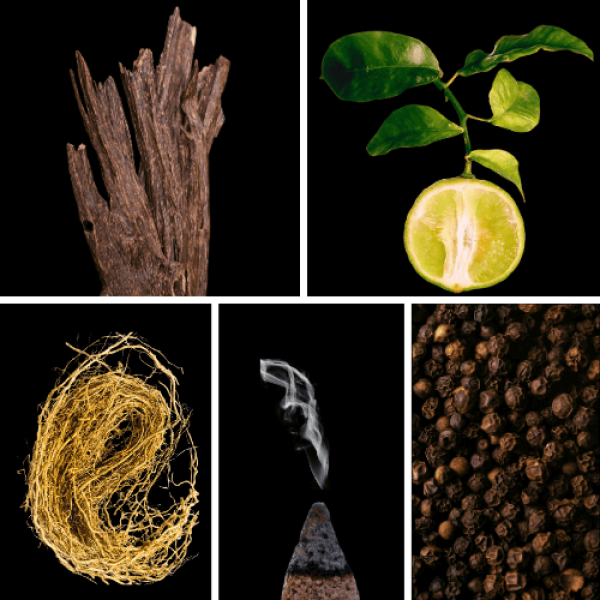 Duftnoten: Oud, Bergamotte, Vetiver, Weihrauch, Pfeffer