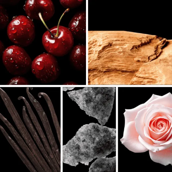 Duftnoten: Kirsche, Sandelholz, Vanille, Moschus, Rose Duftnoten: Kirsche, Sandelholz, Vanille, Moschus, Rose
