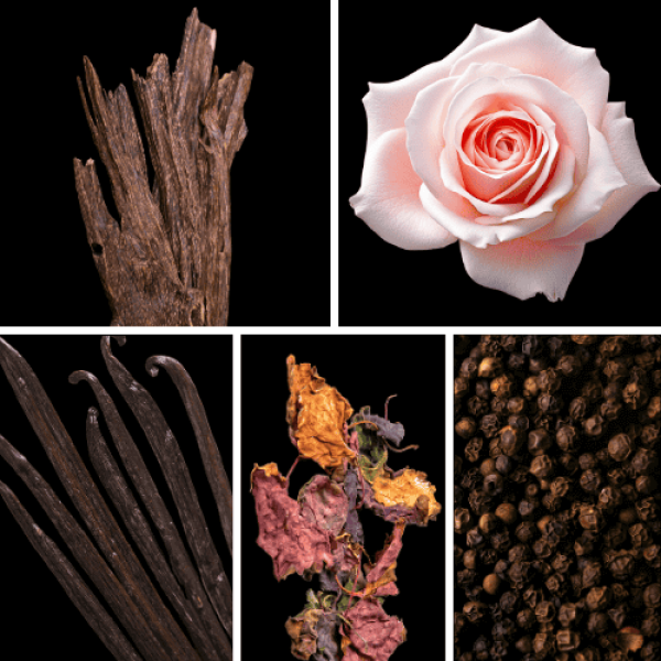 Duftnoten: Oud, Rose, Vanille, Patchouli, Pfeffer