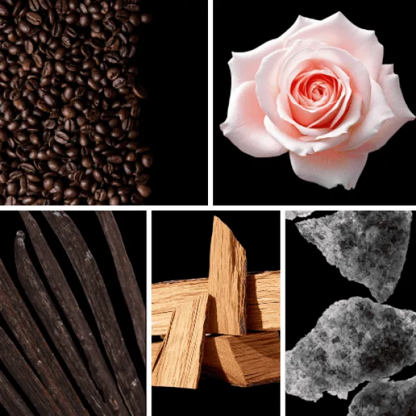 Duftnoten: Kaffee, Rose, Vanille, Zedernholz, weißer Moschus Duftnoten: Kaffee, Rose, Vanille, Zedernholz, weißer Moschus