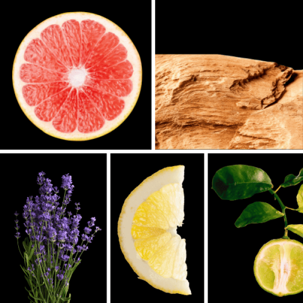 Duftnoten: Grapefruit, Zedernholz, Lavendel, Zitrone, Bergamotte