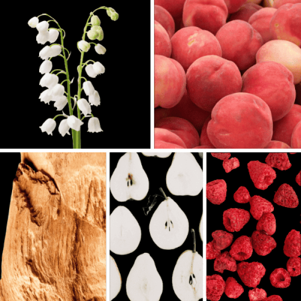 Duftnoten: Maiglöckchen, Pfirsich, Sandelholz, Birne, Himbeere