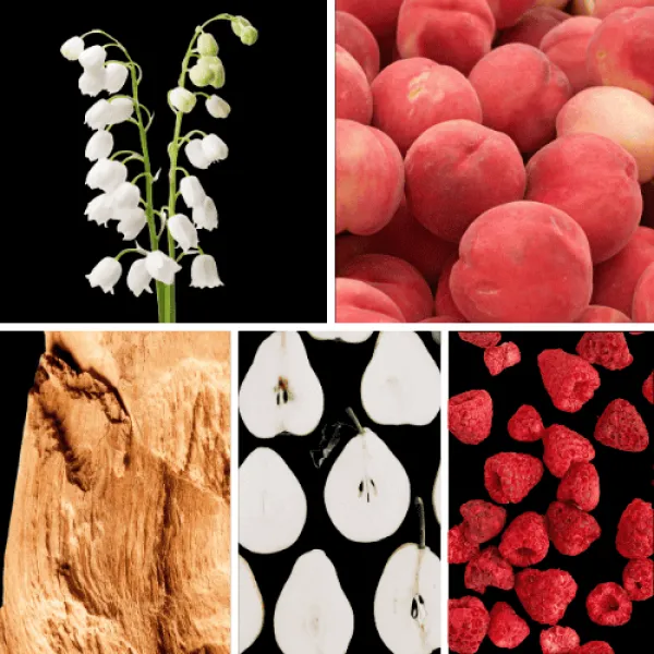 Duftnoten: Maiglöckchen, Pfirsich, Sandelholz, Birne, Himbeere Duftnoten: Maiglöckchen, Pfirsich, Sandelholz, Birne, Himbeere