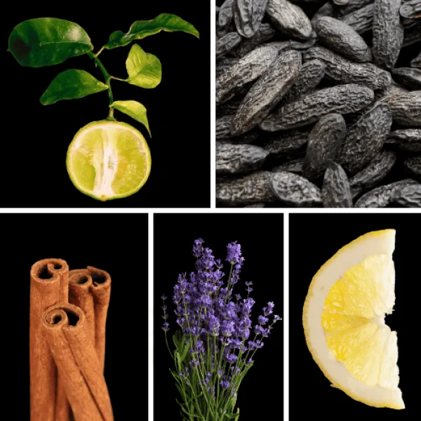 Duftnoten: Bergamotte, Tonkabohne, Zimt, Lavendel, Zitrone Duftnoten: Bergamotte, Tonkabohne, Zimt, Lavendel, Zitrone