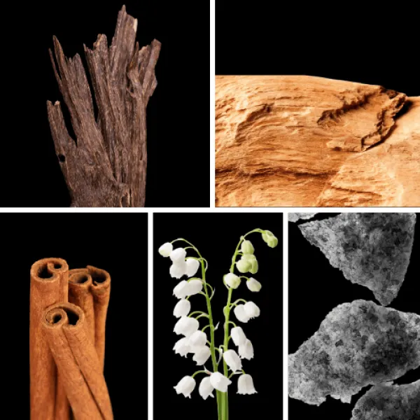Duftnoten: Oud, Sandelholz, Zimt, Maiglöckchen, Moschus Duftnoten: Oud, Sandelholz, Zimt, Maiglöckchen, Moschus