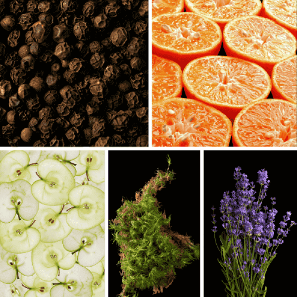 Duftnoten: schwarzer Pfeffer, Mandarine, Apfel, Moos, Lavendel