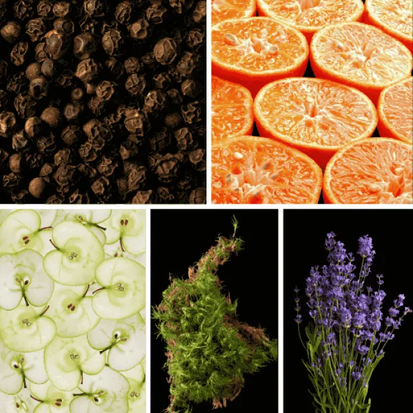 Duftnoten: schwarzer Pfeffer, Mandarine, Apfel, Moos, Lavendel Duftnoten: schwarzer Pfeffer, Mandarine, Apfel, Moos, Lavendel