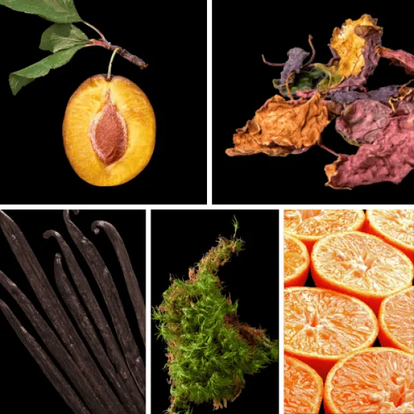 Duftnoten: Pflaume, Patchouli, Vanille, Moos, Mandarine Duftnoten: Pflaume, Patchouli, Vanille, Moos, Mandarine