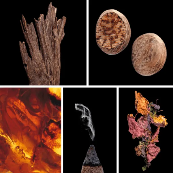 Duftnoten: Oud, Muskatnuss, Amber, Weihrauch, Patchouli Duftnoten: Oud, Muskatnuss, Amber, Weihrauch, Patchouli