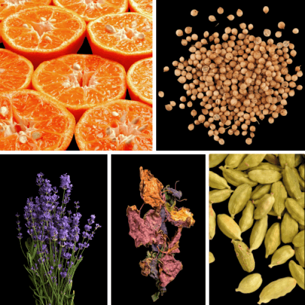 Duftnoten: Mandarine, Koriander, Lavendel, Patchouli, Kardamom