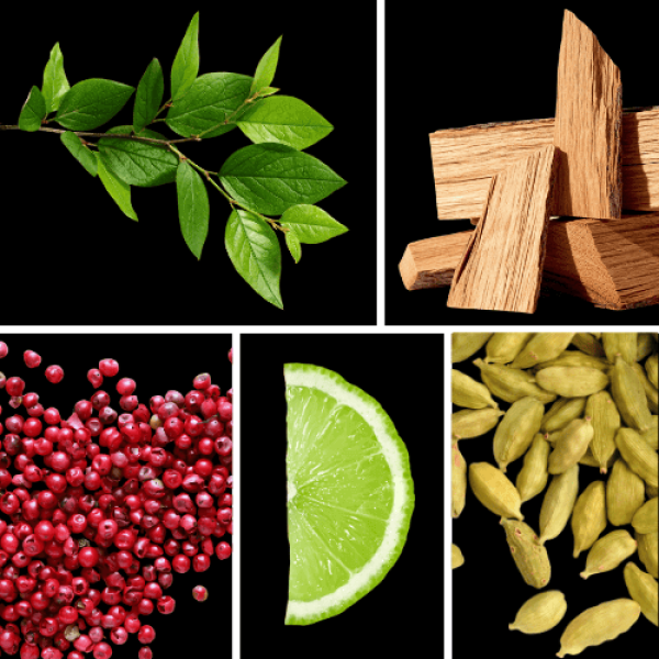 Duftnoten: grüne Blätter, Zedernholz, rosa Pfeffer, Limette, Kardamom