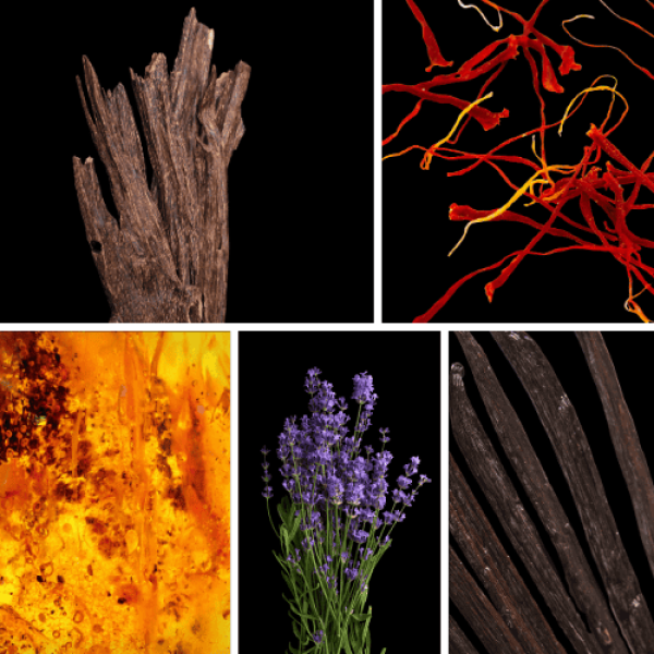 Duftnoten: Oud, Safran, Amber, Lavendel, Vanille