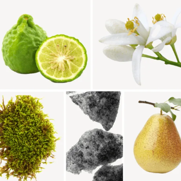 Profumo D’oro N°184 – Duftkomposition des Eau de Parfum mit kontrastreichen floralen und sinnlich-warmen Noten