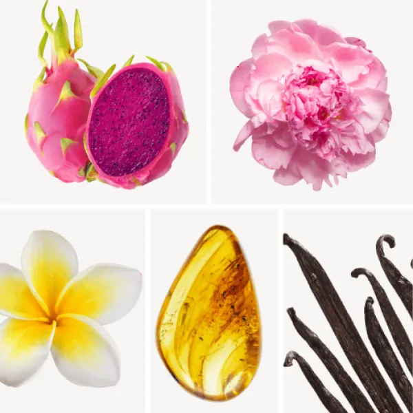 Duftnoten: Drachenfrucht, Pfingsrose, Frangipani, Amber, Vanille