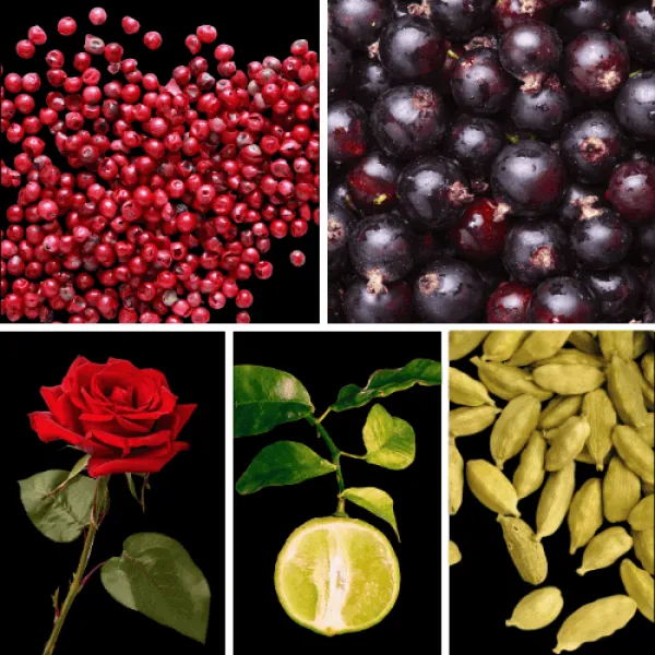 Duftnoten: rosa Pfeffer, schwarze Johannisbeere, Rose, Bergamotte, Kardamom Duftnoten: rosa Pfeffer, schwarze Johannisbeere, Rose, Bergamotte, Kardamom