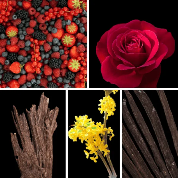 Duftnoten: rote Beeren, Rose, Oud, Osmanthus, Vanille Duftnoten: rote Beeren, Rose, Oud, Osmanthus, Vanille