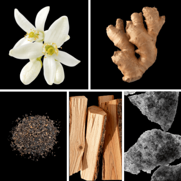 Duftnoten: Neroli, Ingwer, schwarzer Tee, Zedernholz, Moschus