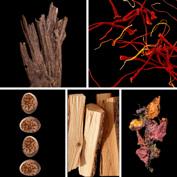 Duftnoten: Oud, Safran, Muskat, Zedernholz, Patschuli